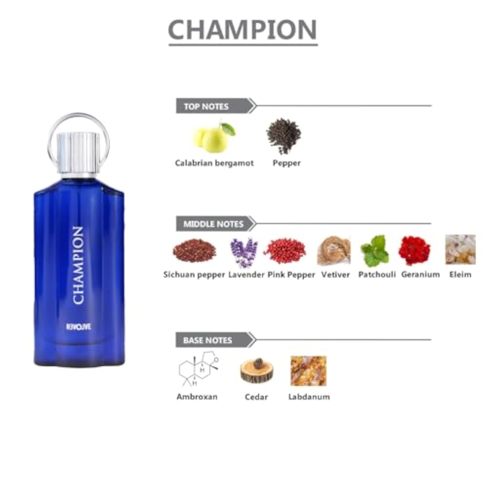Champion Pour Homme Perfume for Men